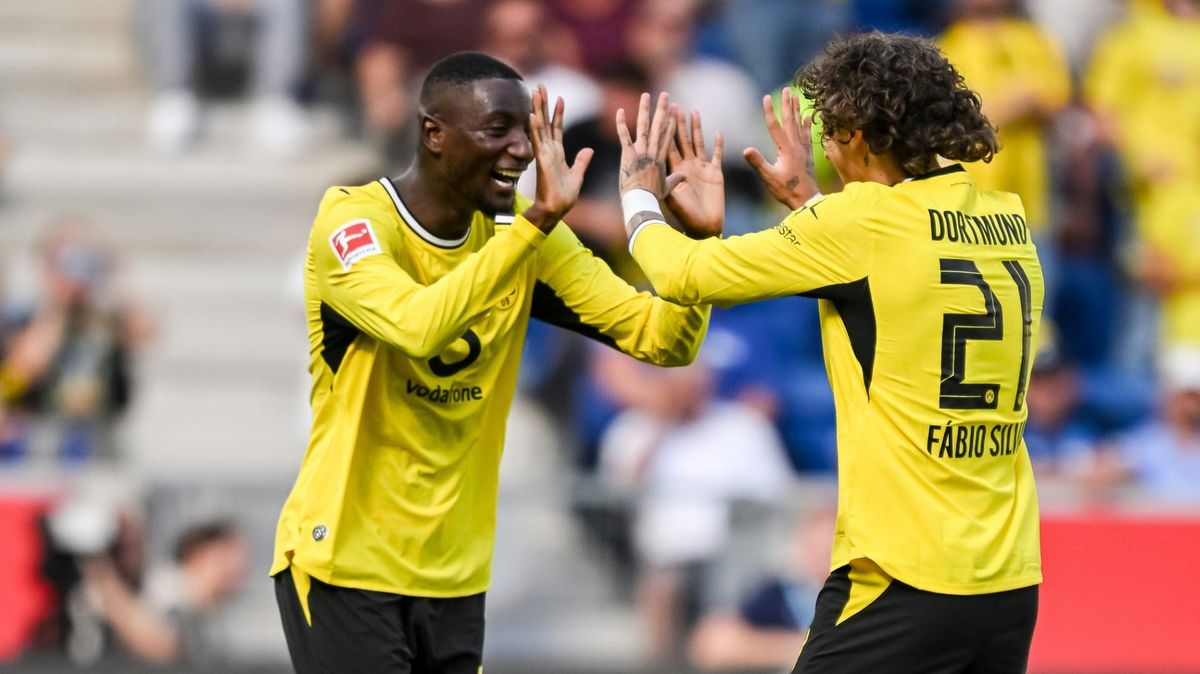 In Topform: Serhou Guirassy (l.) und Fabio Silva
