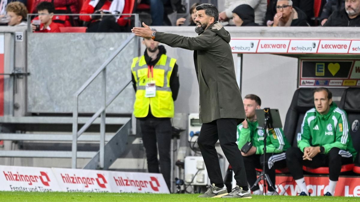 Schalke-Trainer Miron Muslic