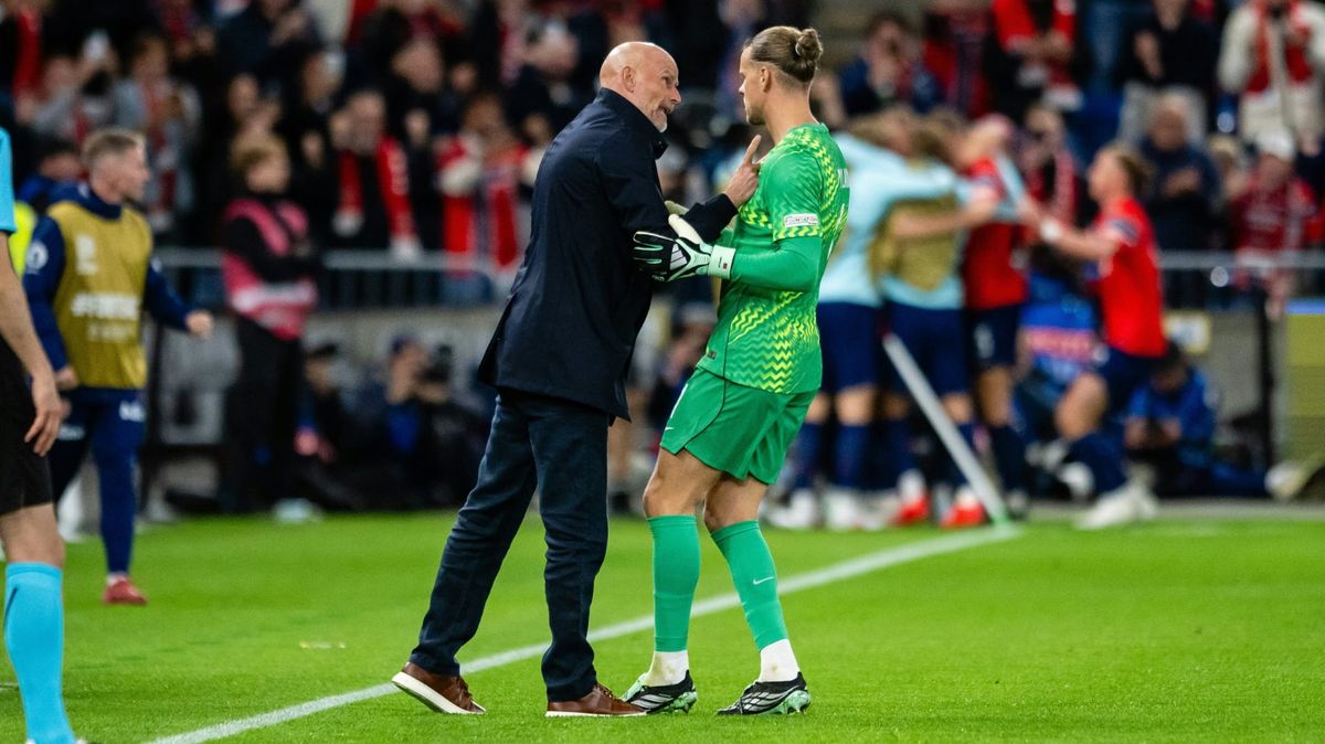 Stale Solbakken im Spiel gegen Dänemark mit Örjan Nyland