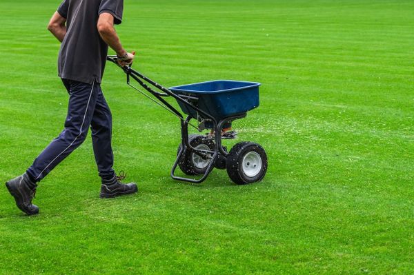 Immer mehr Klubs machen sich Gedanken, wie man Gutes für die Umwelt tun kann