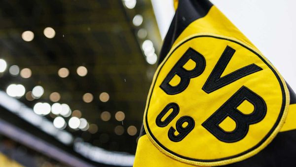 Wegen Wahlwerbung: BVB wehrt sich gegen AfD