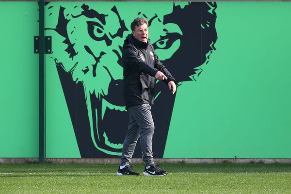 Mission Possible: Warum Dieter Hecking den VfL Wolfsburg retten wird
