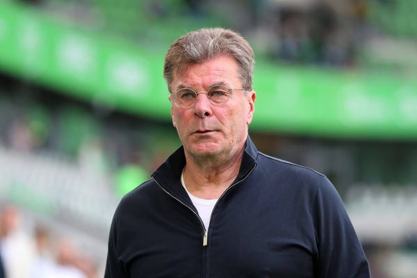 Wegen Hecking: VfL Wolfsburg zu 80 Prozent Klassenerhalt