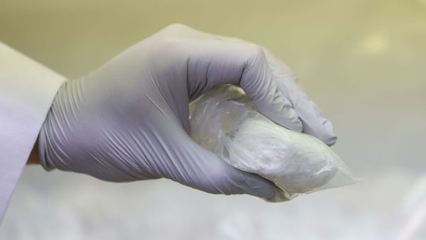 WM: US-Behörde warnt Fußball-Fans vor Fentanyl