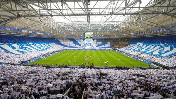 Schalke krönt Meistersaison - Braunschweig entgeht Relegation