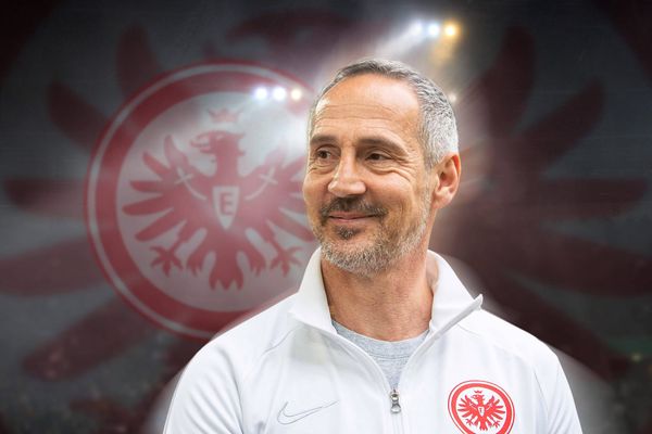 Adi Hütters Rückkehr zu Eintracht Frankfurt: Eine Wette mit Substanz