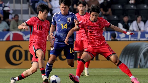 Schalke holt Tanaka aus Düsseldorf