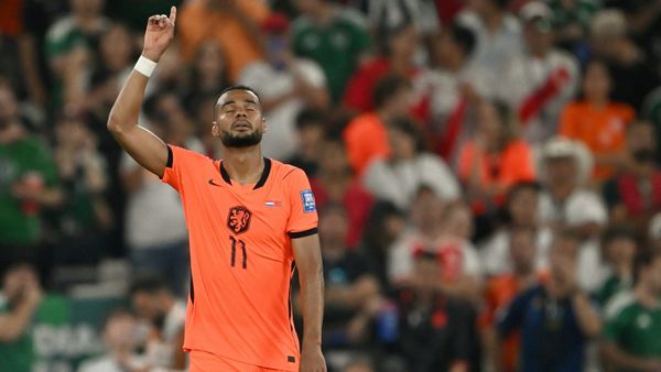 Trotz Gakpo-Tor: Niederlande verpassen Achtelfinale