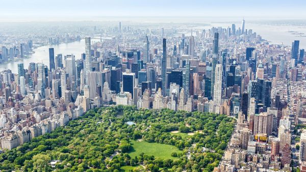 WM: Public Viewing zum Finale im Central Park