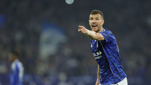 Leistungsträger bei Schalke: Edin Dzeko