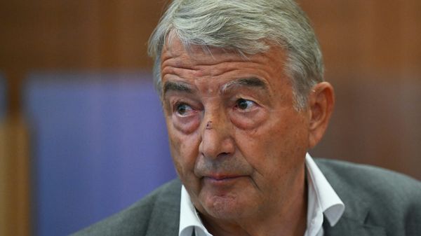 Der frühere DFB-Präsident Wolfgang Niersbach