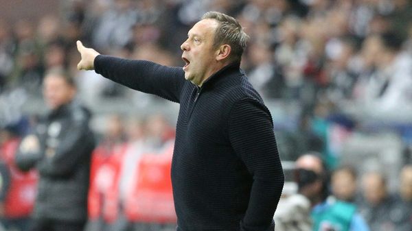 Jetzt in Rostock: André Breitenreiter