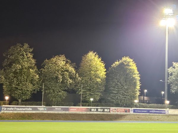Vielfalt auf den Plätzen – Eintönigkeit in Verbandsgremien