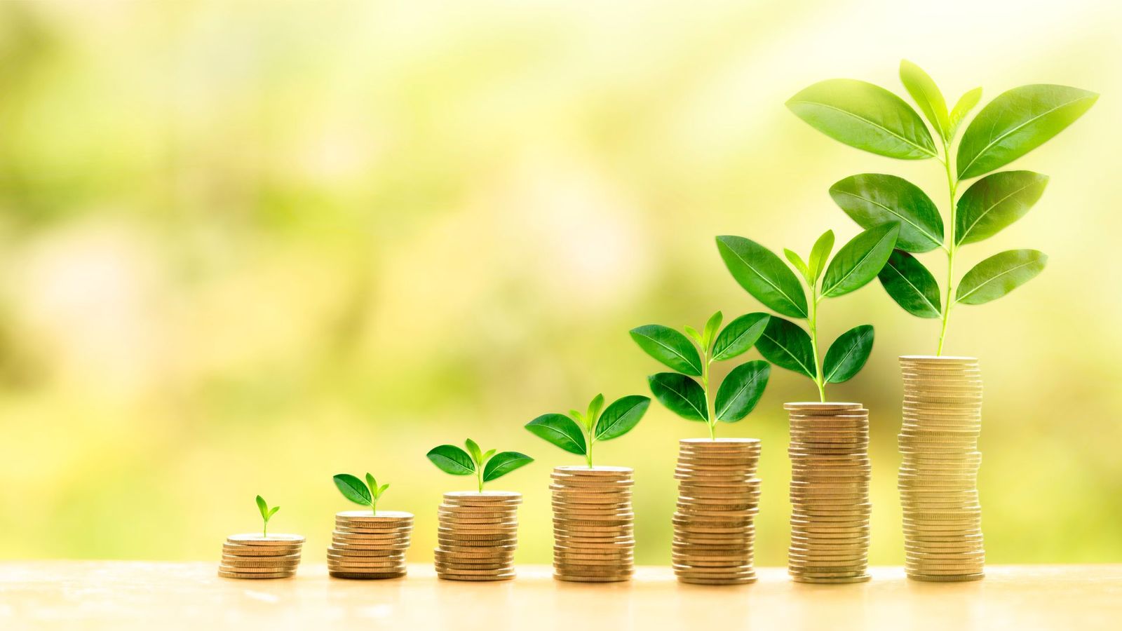 4 Financial Laws That Will bring Increase To Your Life