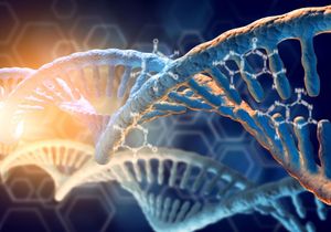 A Carrier Of God's DNA
