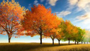 The Change Of Season!