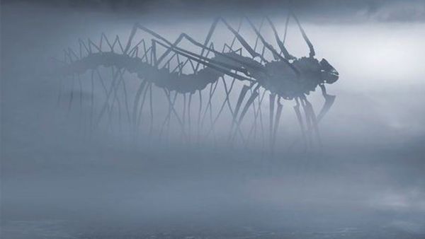 How To Overcome Torment