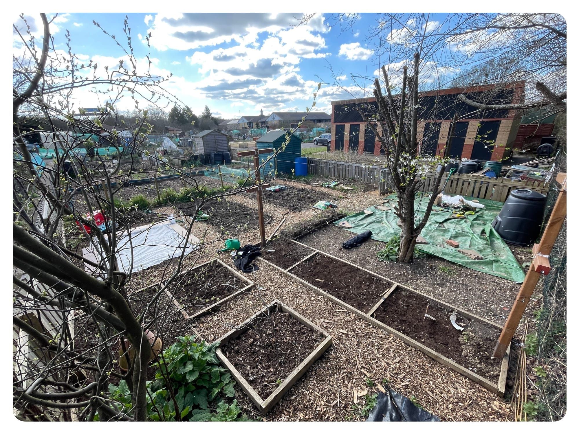 At home and on the plot
