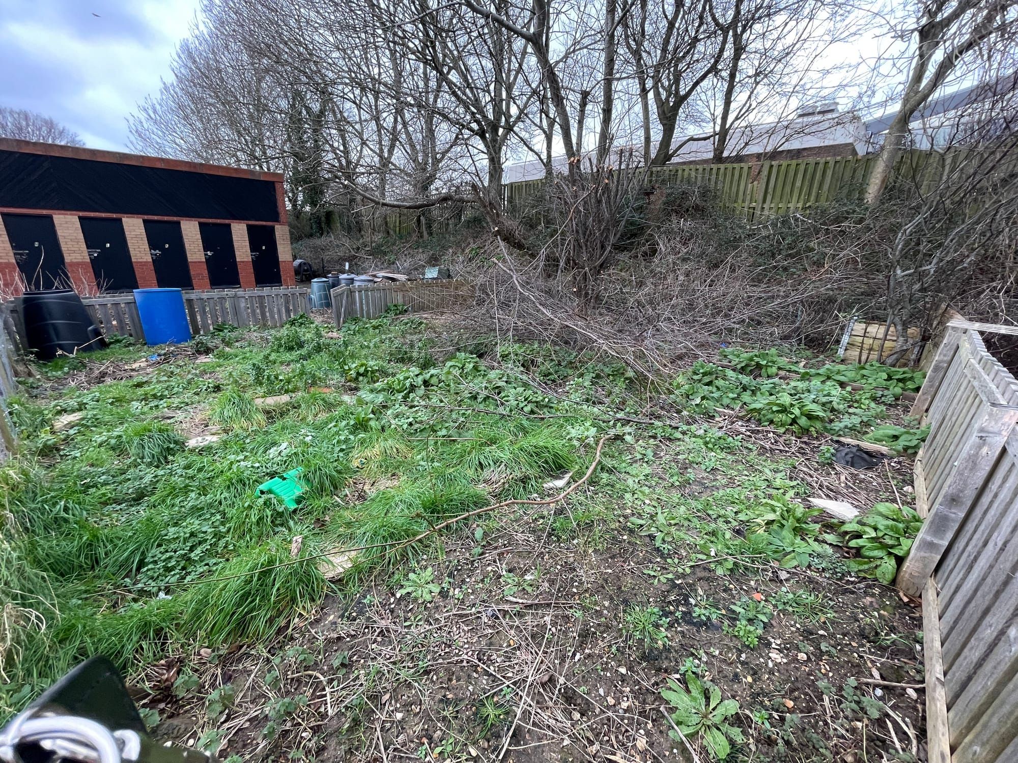 An invitation to plot 30c - one year on