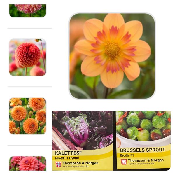 The price of progress??