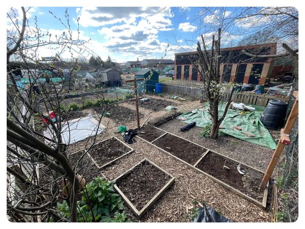 At home and on the plot