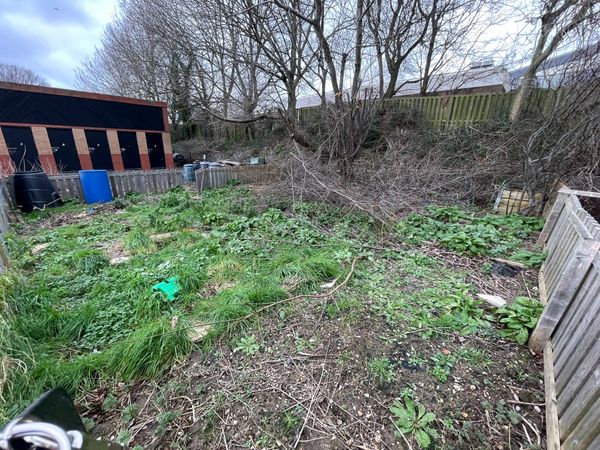 An invitation to plot 30c - one year on