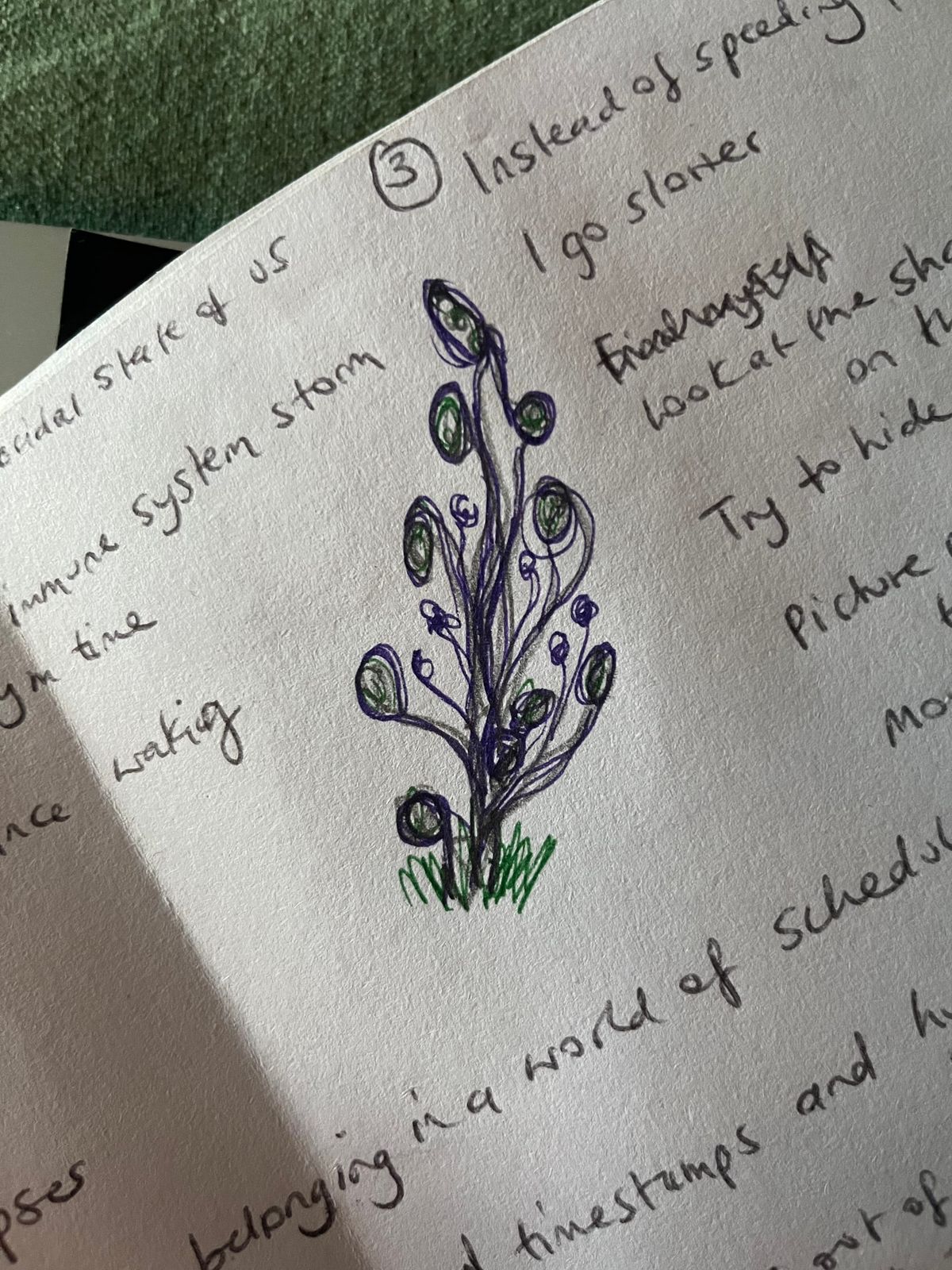 Slow day // slow night