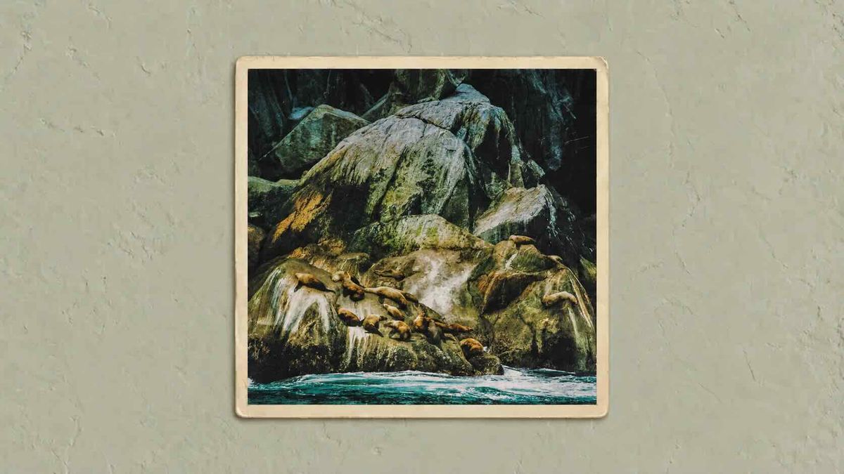 From A Harbour Softly Drawn :: Shepherds