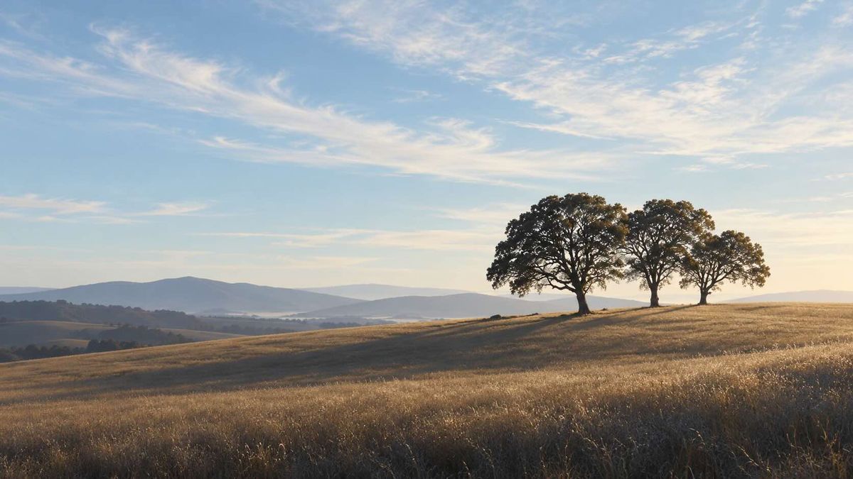 Windham Hill: The Making of a Listening Place