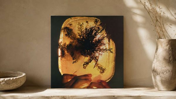 L'Rain :: fata morgana