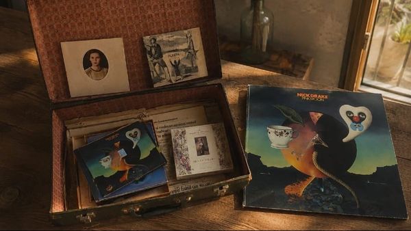 Pink Moon: The Meaning Nick Drake Left Behind