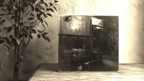 The New Honey Shade :: Stillwater Rooms