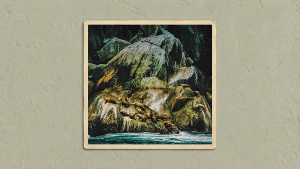From A Harbour Softly Drawn :: Shepherds