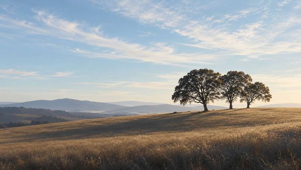Windham Hill: The Making of a Listening Place