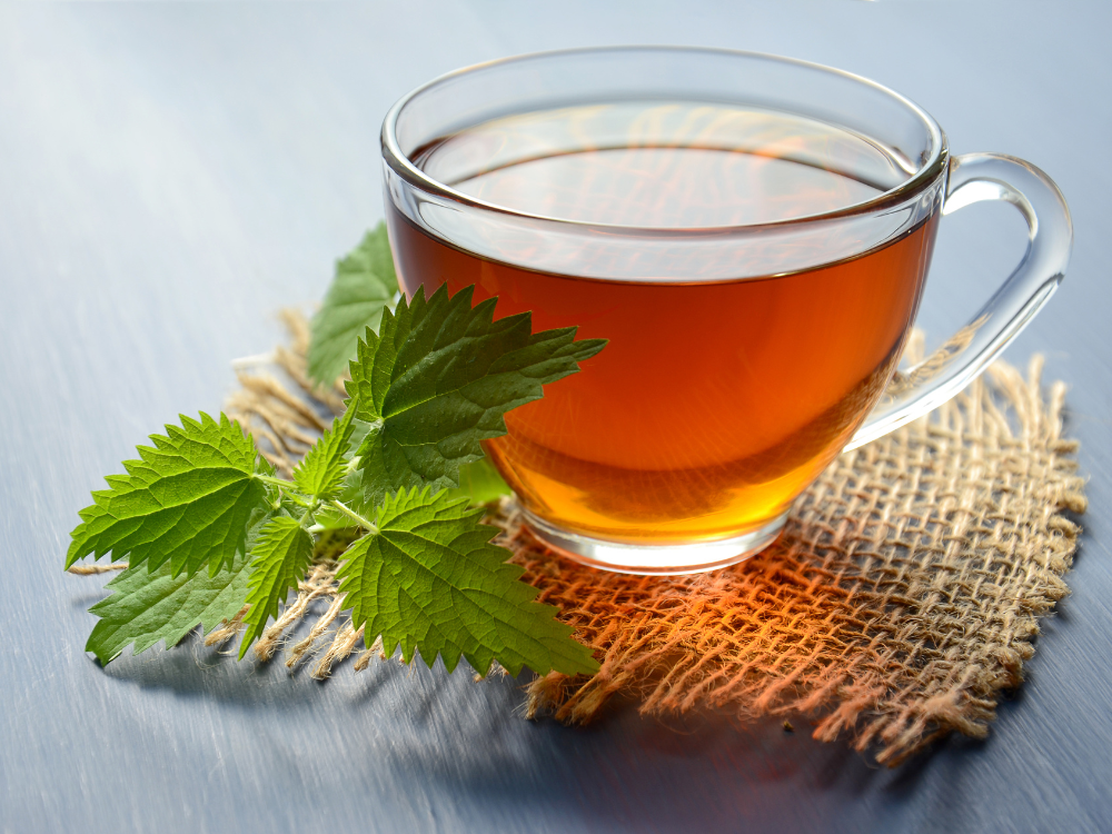 Best Teas For The Immune System: Our Top 5 Picks to Keep You Healthy This Season