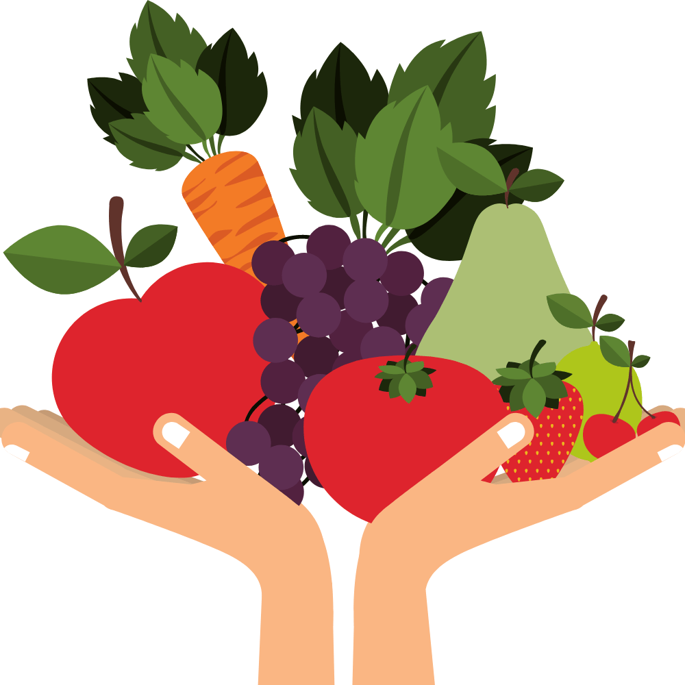 The Top 5 Best Books on Plant Based Nutrition - to help your 2023 Health Drive.