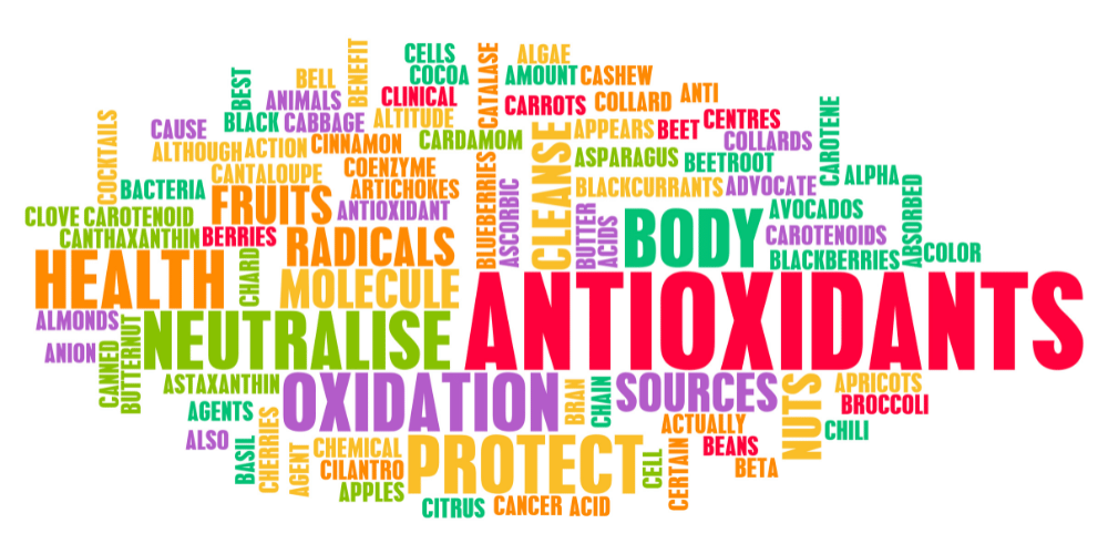 Power Up Your Health with the Best CoQ10 Supplement: Our Top 7 Picks