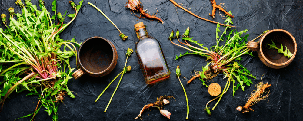 Boost Your Energy and Focus With The 6 Best Rhodiola Supplement: Our Top 6 Picks