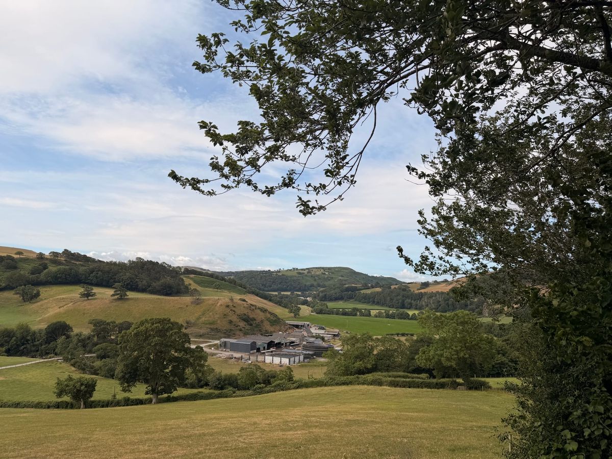 A Week in Pictures: Green Bins, Golf and Big Climbs