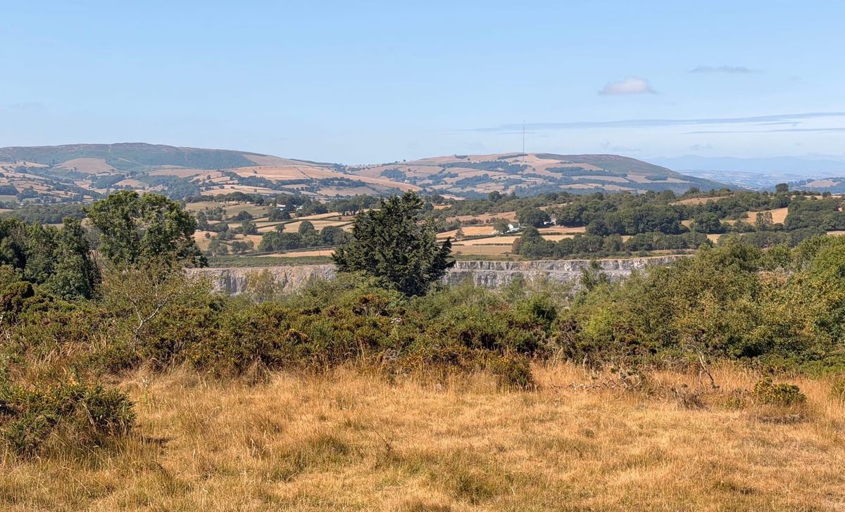 A Walk Around the Halkyns