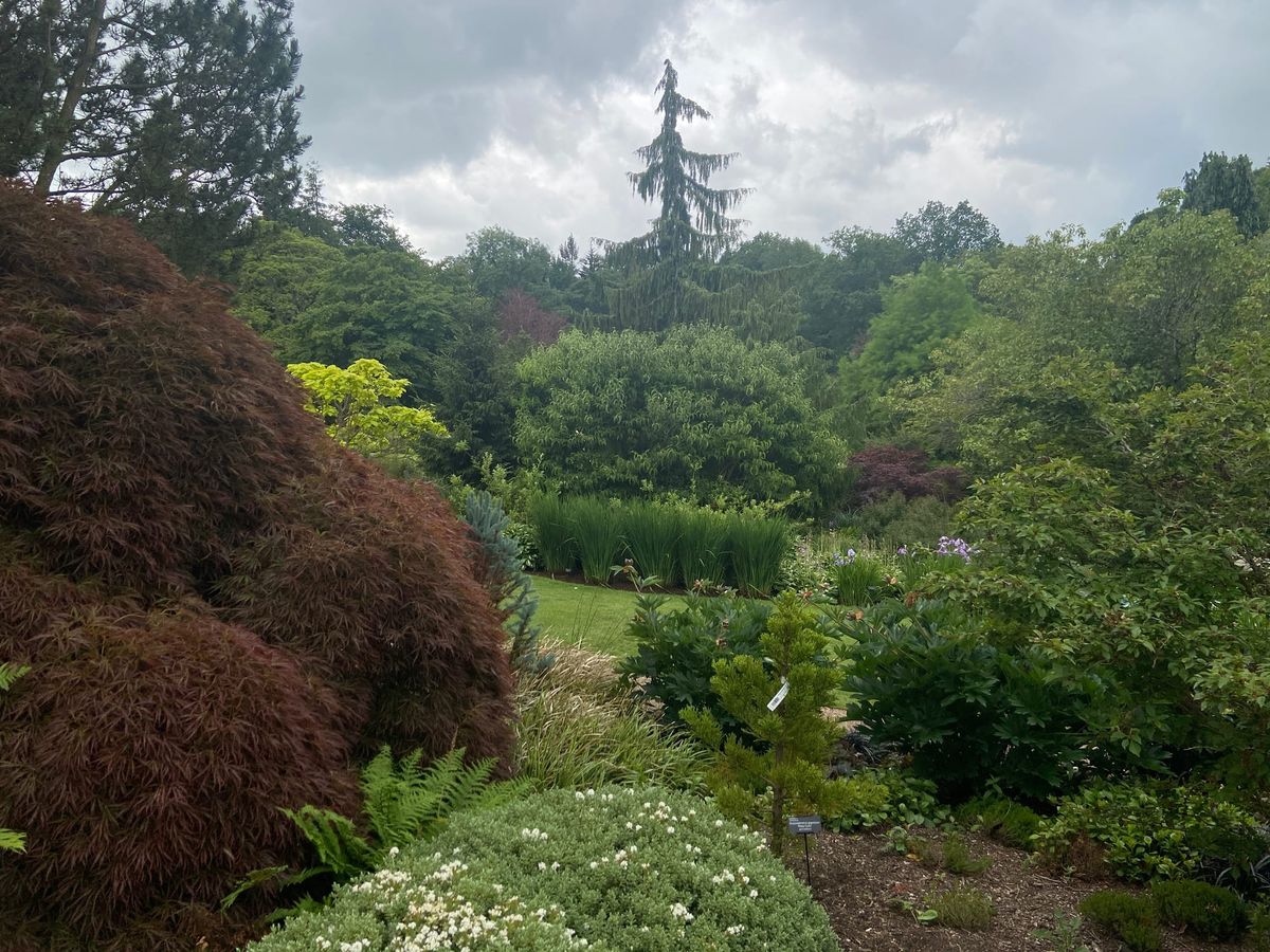 RHS Harlow Carr