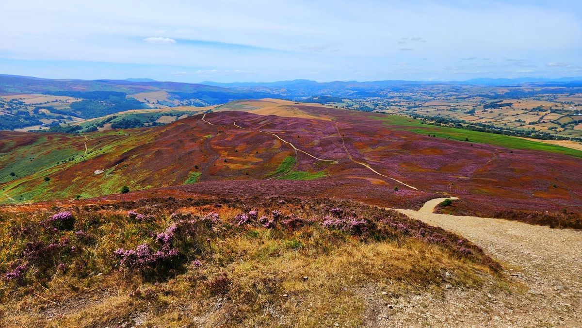 Three Peaks Challenge