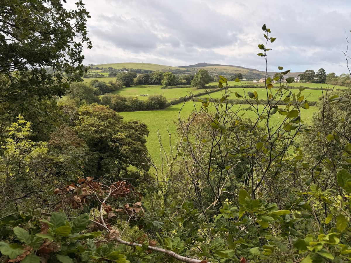 An Early Autumn Walk Around Cilcain