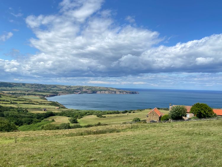 I Choose to Live in Easy World, Where Everything is Easy