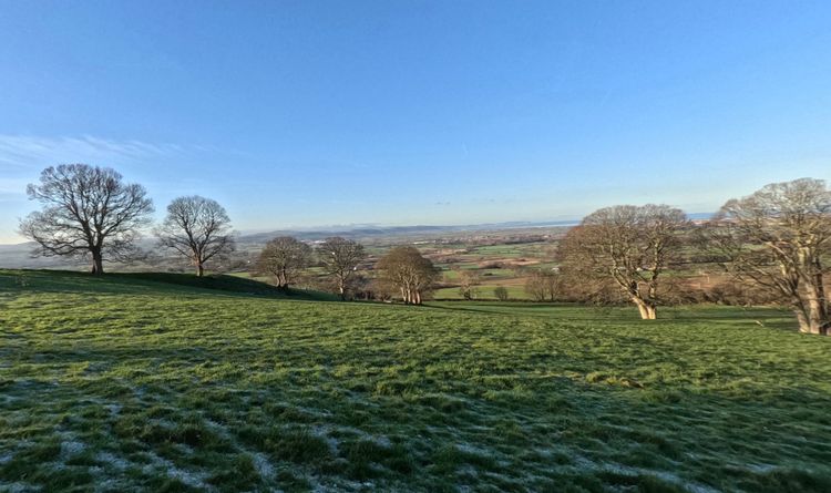 Photo Journal 21 - 28 December 2025