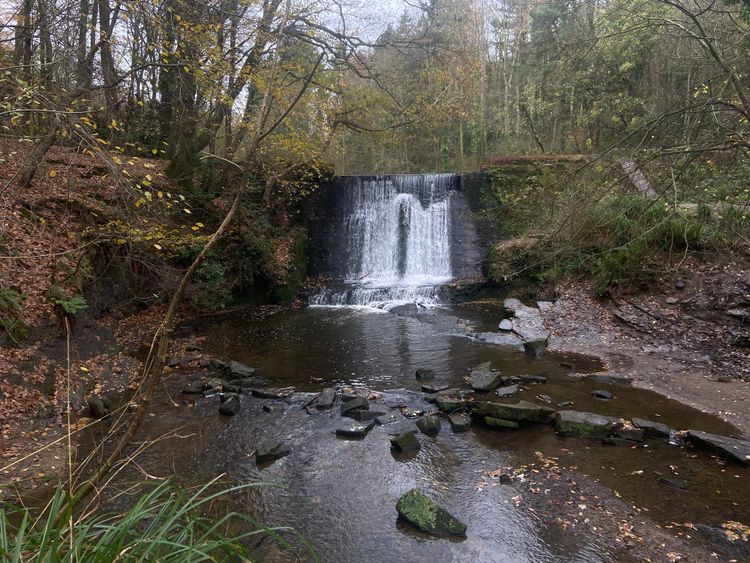 Weekly Photo Diary 30 Nov - 6 Dec