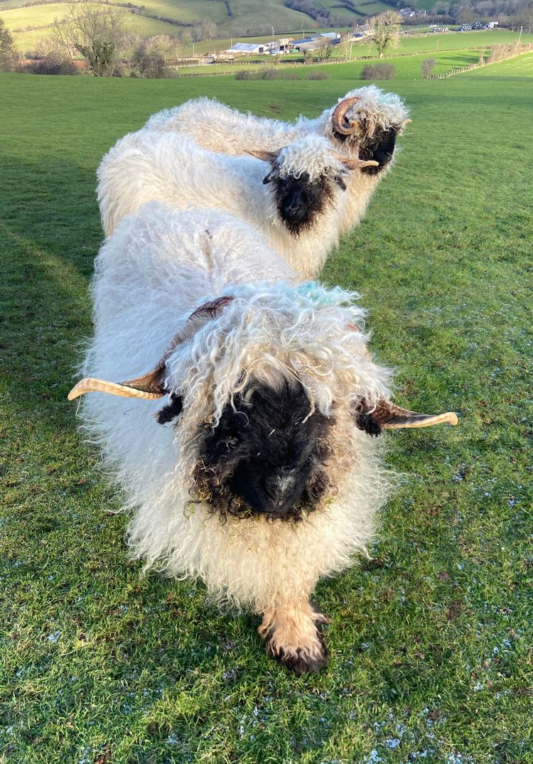 Photo Journal 28 December - 3 January