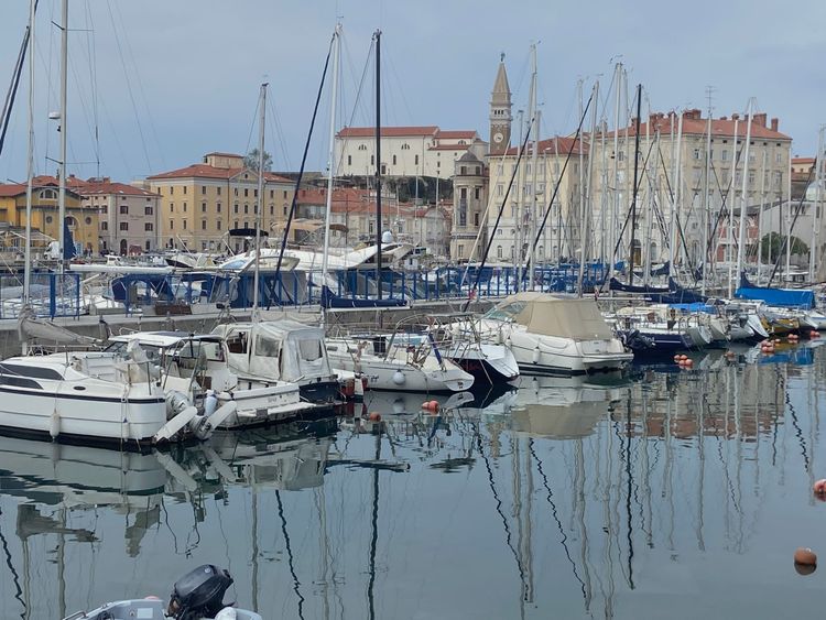 Matilda on Tour - Three Weeks on the Road — Settling into Nomadic Life 🚐