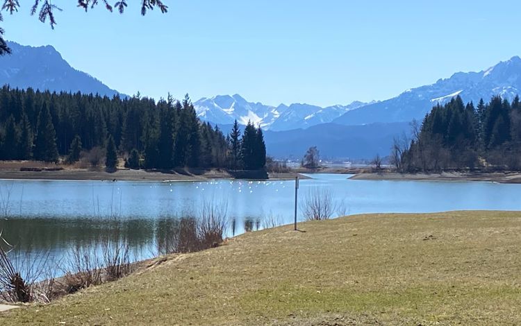 Matilda on Tour - Through the Alps — Lakes, Mountains and Unexpected Stops