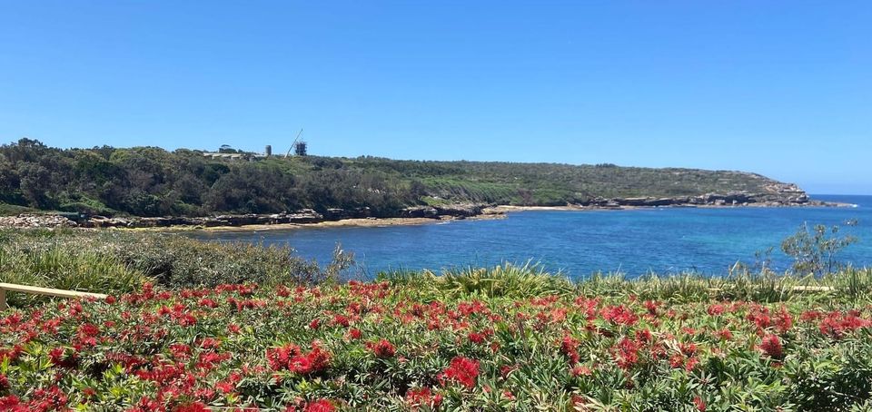 A Quiet Kind of Proud